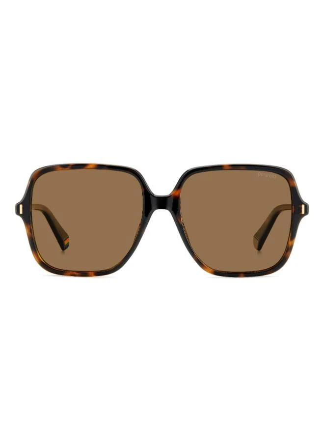 Square Sunglasses Frames